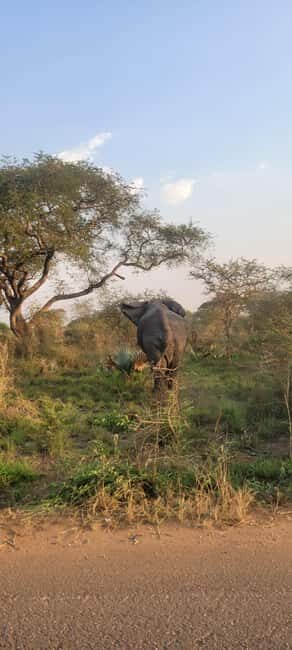 From Kampala: 2-Day Murchison Falls National Park Vacation - Key Points