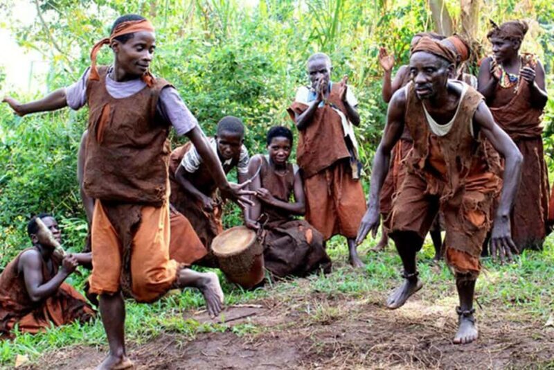 From Kampala: 3-Day Gorilla Trekking Safari to Bwindi - An In-Depth Look at the 3-Day Gorilla Safari