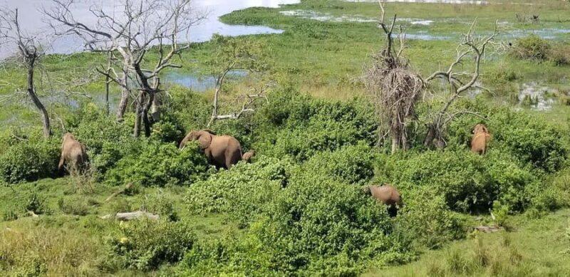 From Kampala: 3-Day Murchison Falls Safari with Rhino Trek - Key Points