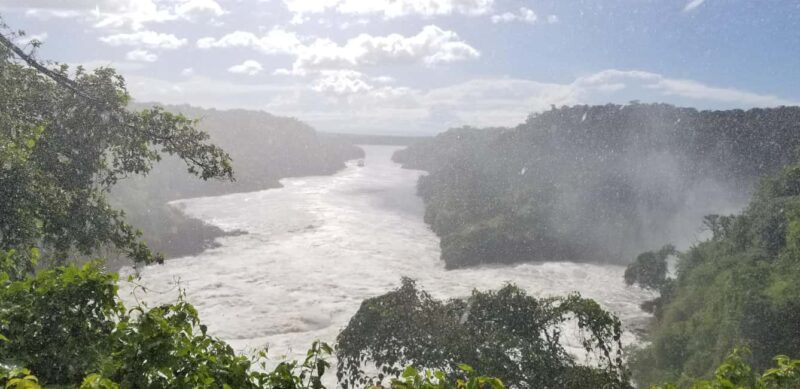 From Kampala: 3-Day Murchison Falls Safari with Rhino Trek - An Authentic Safari Experience with Rich Wildlife Encounters
