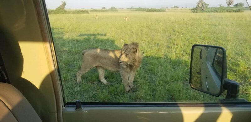 From Kampala: 3-Day Murchison Falls Safari with Rhino Trek - Practical Tips for Your Trip