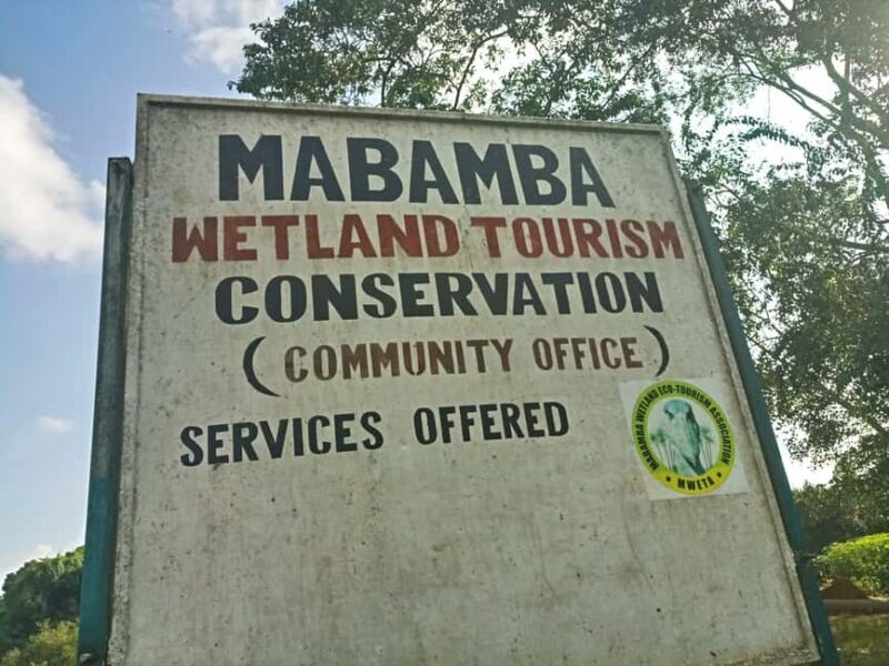 From Kampala: Mabamba Swamp Birding Half-Day Tour - Introduction