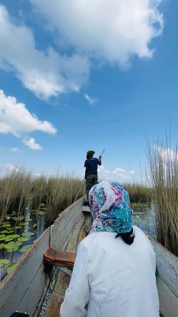 From Kampala: Mabamba Swamp Birding Half-Day Tour - Key Points