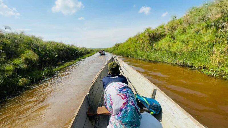 From Kampala: Mabamba Swamp Birding Half-Day Tour - Why This Tour Is a Great Choice