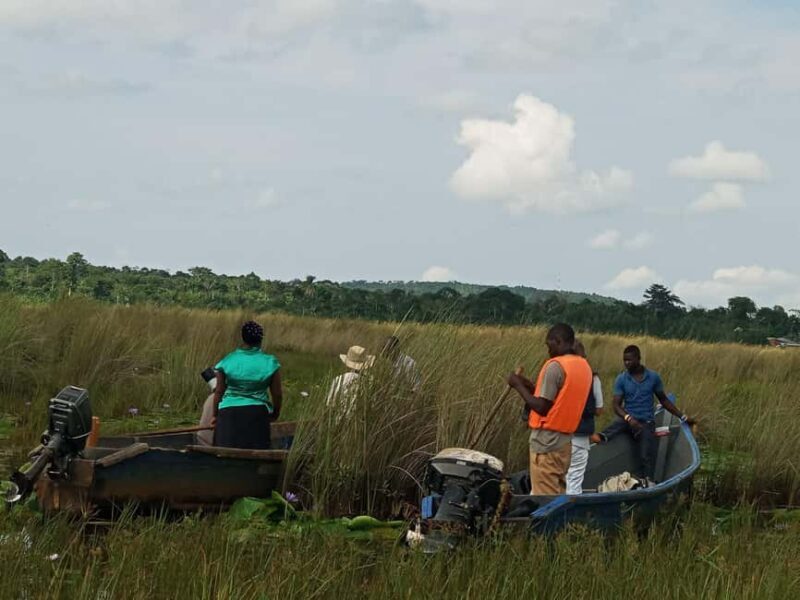 From Kampala: Mabamba Swamp Birding Half-Day Tour - The Sum Up