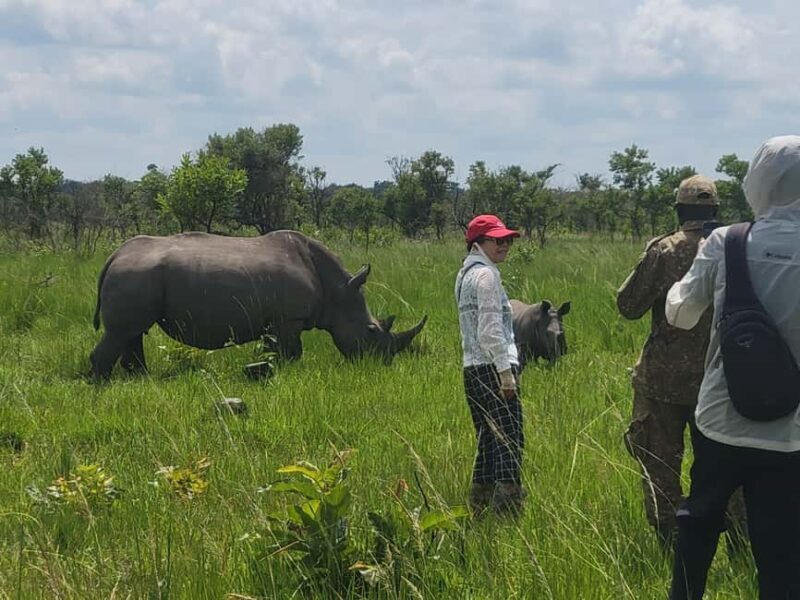 From Kampala: Ziwa Rhino Sanctuary Day Tour with Lunch - FAQ