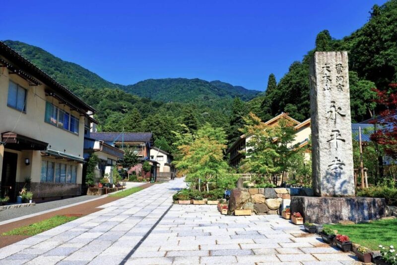 From Kanazawa: Eiheiji Buddhist Temple & Fukui Castle Town - Who Is This Tour Best For?