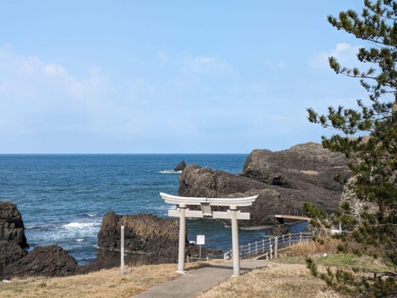 From Kanazawa: Fukui's Stunning Cliffs, Island, and Port - Practical Tips for the Day