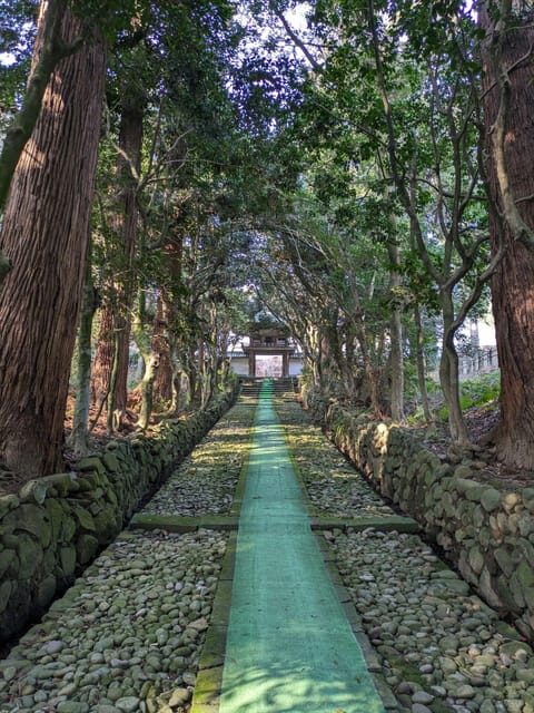 From Kanazawa: Fukui's Stunning Cliffs, Island, and Port - Summary of Who This Tour Suits Best