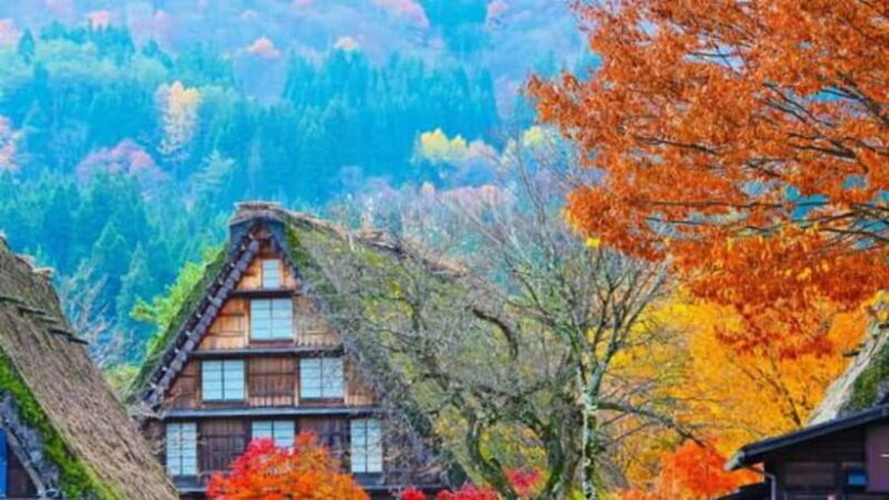 From Kanazawa/Takayama :Day Tour To Shirakawago & Takayama - In-Depth Review of the Experience