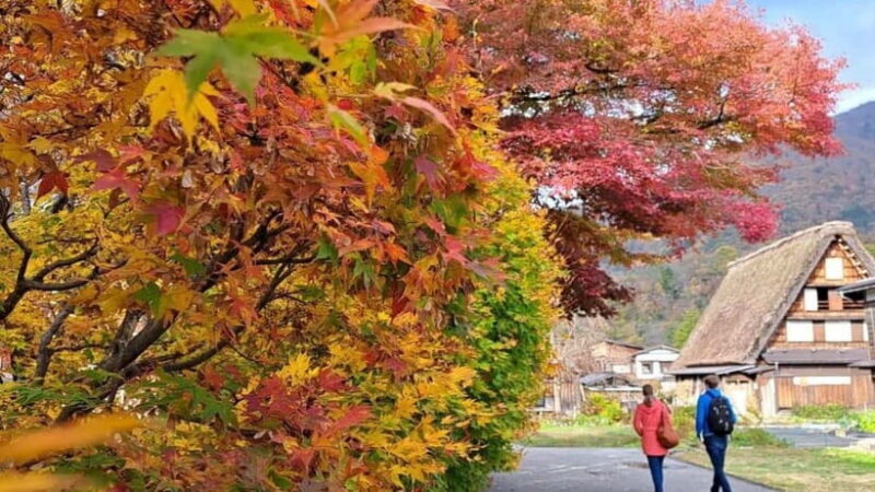 From Kanazawa/Takayama :Day Tour To Shirakawago & Takayama - FAQ