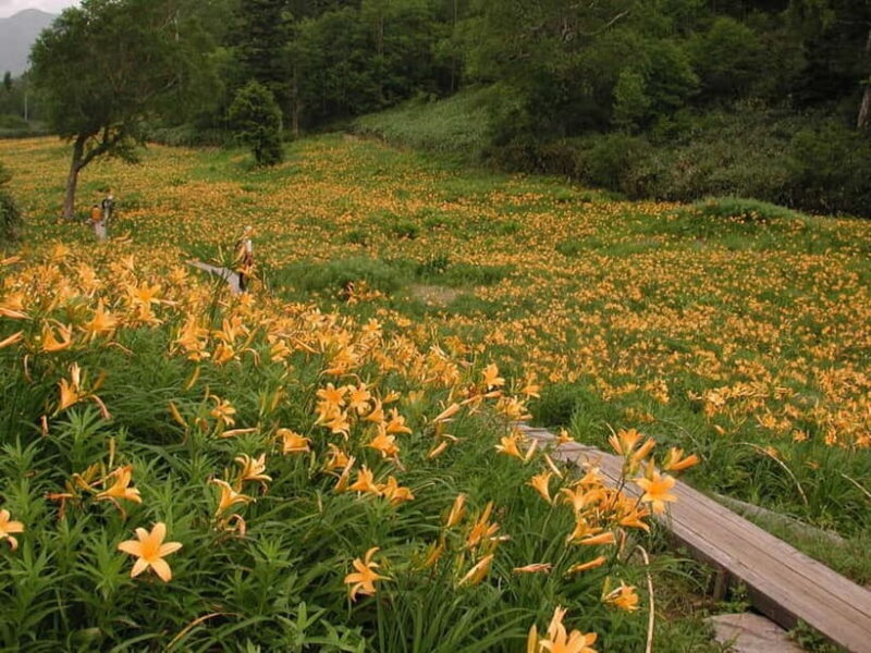 From Kanazawa: Tateyama Mountain Tour with Waterfall & Hike - Practical Tips for the Trip