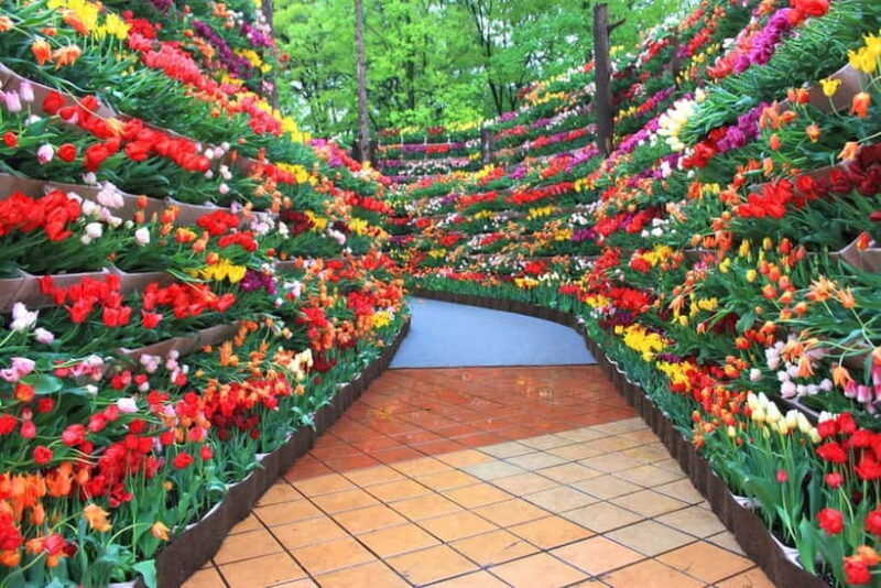 From Kanazawa: Tonami Tulip Festival and UNESCO Gokayama - FAQ