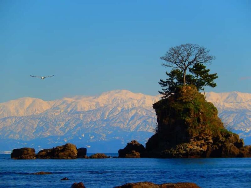 From Kanazawa: Toyama Bay and Shokawa River Cruise Day Trip - Frequently Asked Questions