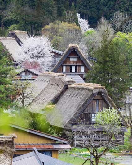 From Kanazawa/Toyama: Shirakawago and Takayama Day Tour - An In-Depth Look at the Tour