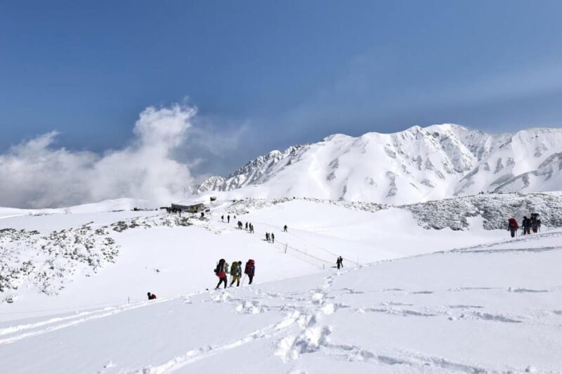 From Kanazawa/Toyama: Snow Wall & Mysterious Valley Day Tour - Why This Tour Offers Great Value