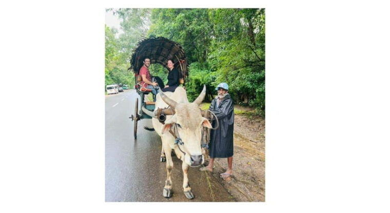 from-kandy-dambulla-to-sigiriya-day-tours-by-luxury-car