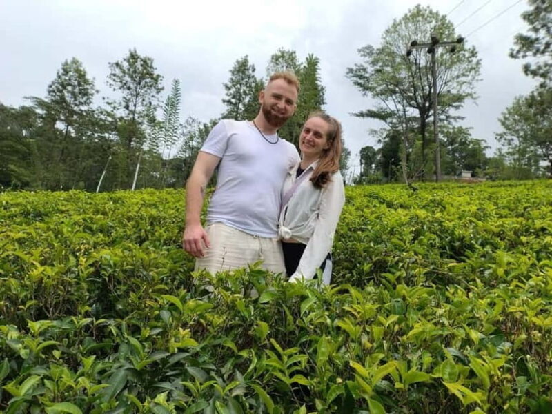 From Kandy: Ella Drop Tour via Nuwara Eliya - Who Should Consider This Tour?