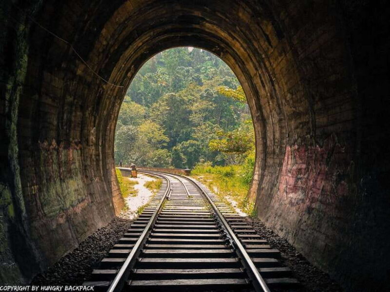 From Kandy: Ella private Day Tour With Train Ride - Who Would Love This Tour?