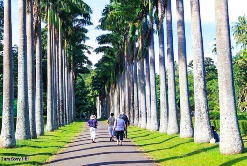 from-kandy-full-day-tour-in-kandy-with-ambuluwawa-tower