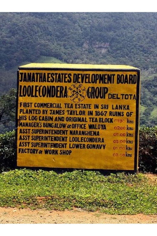 from-kandy-james-taylors-tea-tour-the-tale-of-ceylon-tea