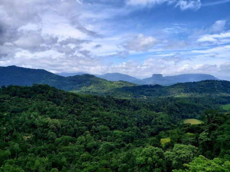 from-kandy-kandy-city-local-tuk-tuk-tour-and-hidden-gems