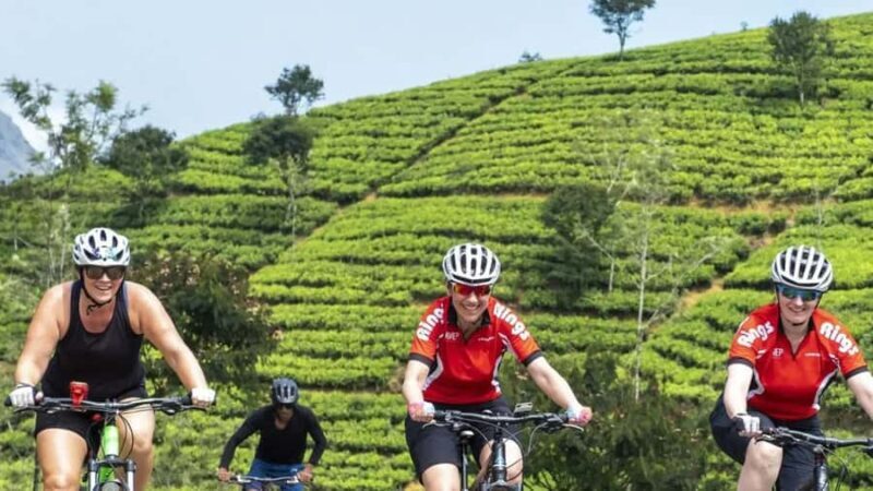 From Kandy: Mountain Biking Adventure to Nuwara Eliya - From Kandy: Mountain Biking Adventure to Nuwara Eliya