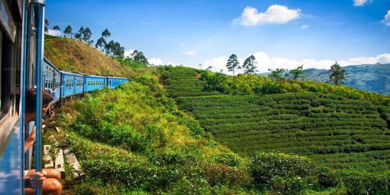 from-kandy-nuwara-eliya-by-train