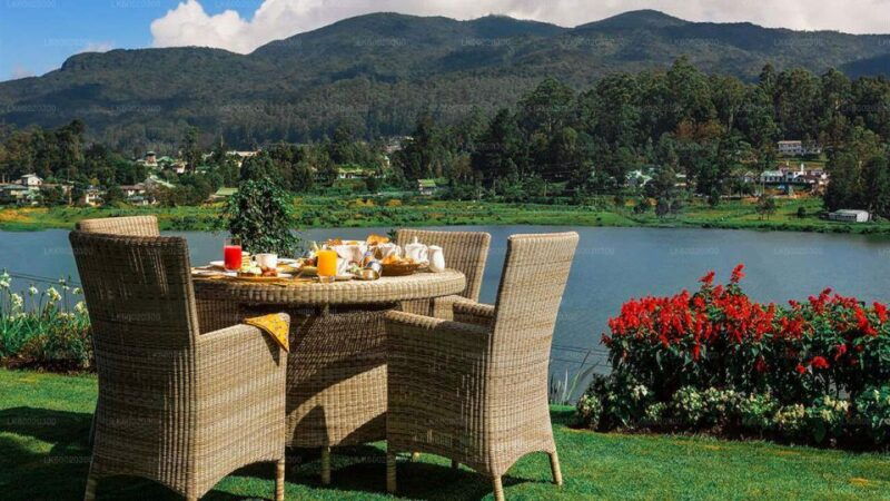 from-kandy-nuwara-eliya-by-train