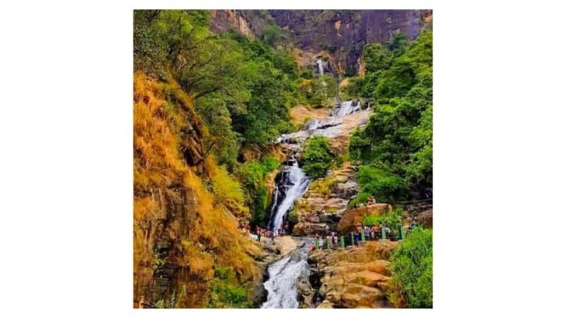 From Kandy: Nuwara Eliya Day Tours (Ambewela Railway Drop) - Key Points