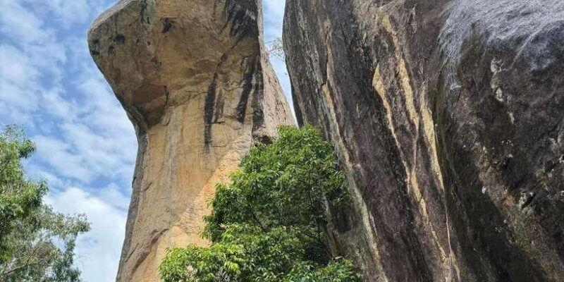 from-kandy-pidurangala-rock-and-minneriya-national-park