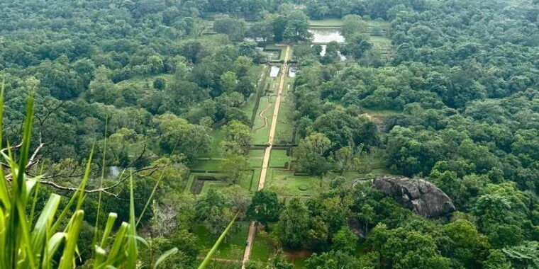 from-kandy-pidurangala-rock-and-minneriya-national-park