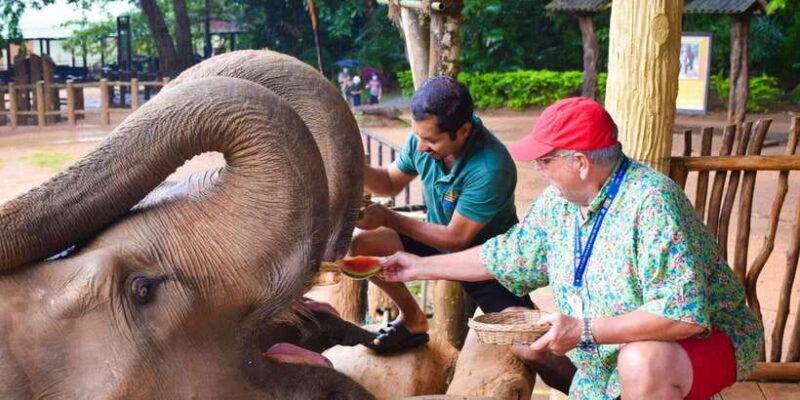 from-kandy-pinnawala-and-botanical-garden-tour-by-tuk-tuk