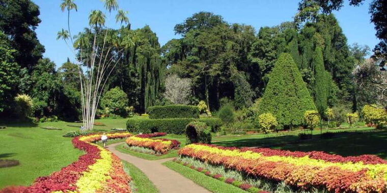 from-kandy-pinnawala-and-botanical-garden-tour-by-tuk-tuk