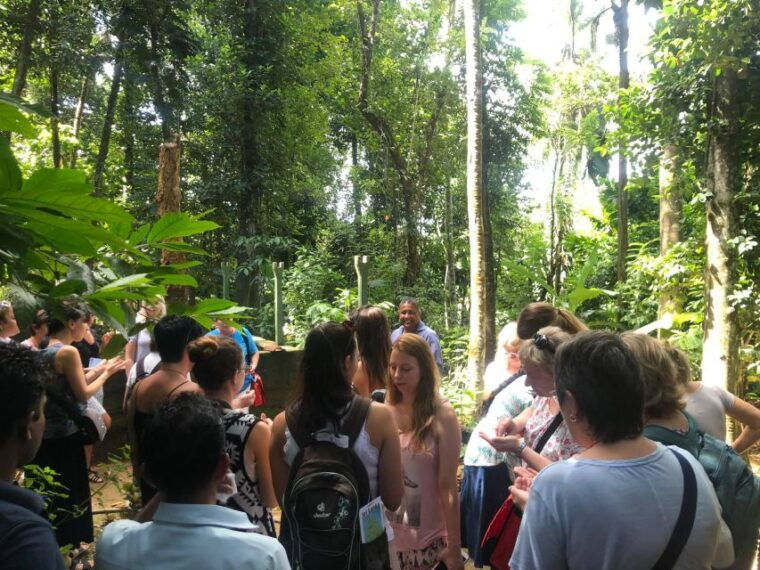 from-kandy-pinnawala-day-tour
