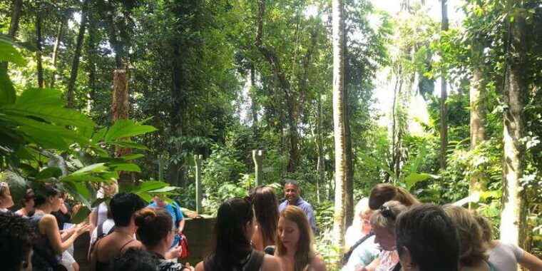 from-kandy-pinnawala-day-tour