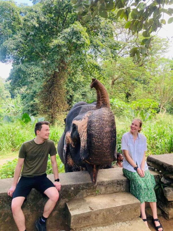 From Kandy : Pinnawala Elephant Orphanage & Ambuluwawa Tower - Key Points