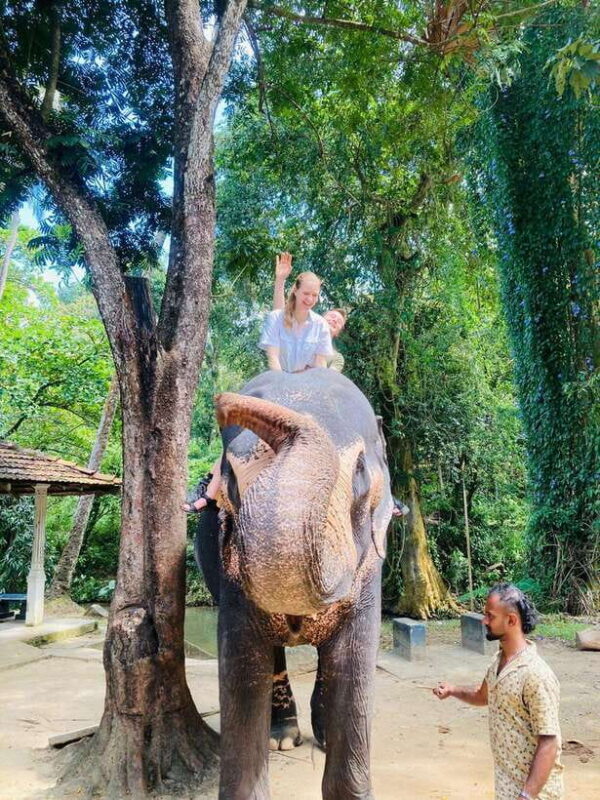 From Kandy : Pinnawala Elephant Orphanage & Ambuluwawa Tower - Practical Details and How to Make the Most of the Tour
