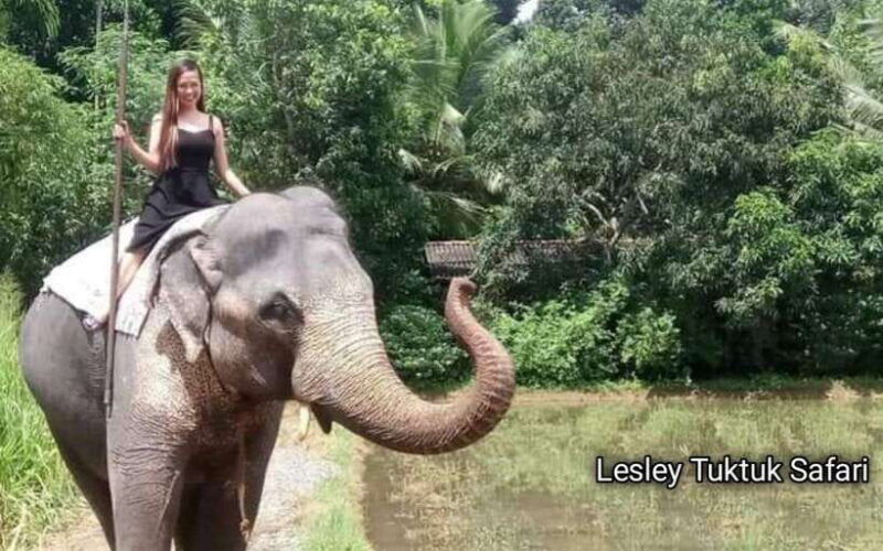 from-kandy-pinnawala-elephant-orphanage-day-trip
