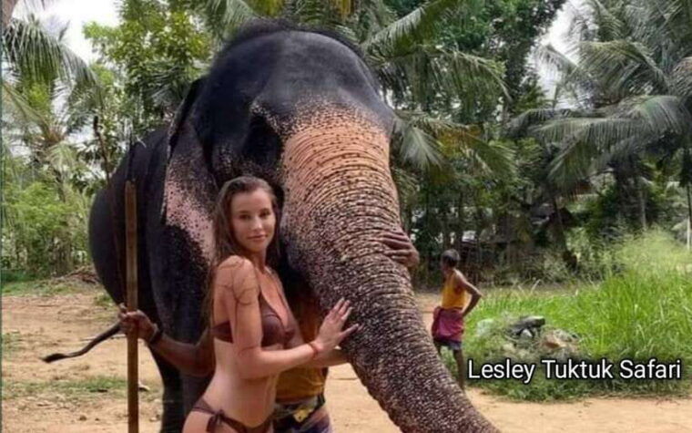 from-kandy-pinnawala-elephant-orphanage-day-trip
