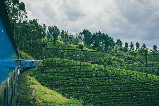 From Kandy: Second/Third Class Scenic Train Ticket to Ella - The Journey: What to Expect from Kandy to Ella