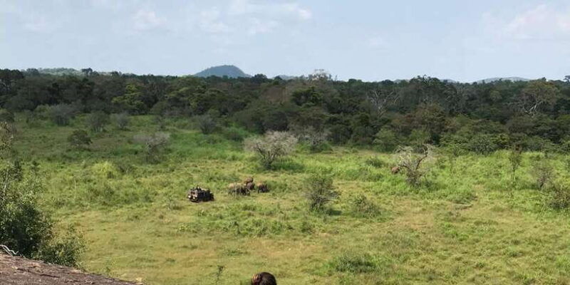 from-kandy-to-sigiriya-day-tuk-tuk-trip
