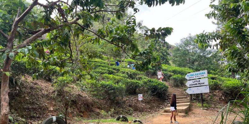 from-kandy-train-and-pool-club-day-tour-with-pickup