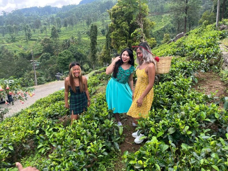 from-kandy-train-and-pool-club-day-tour-with-pickup