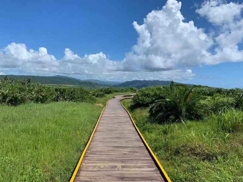 From Kaohsiung: Kenting & Ocean Coast Private Day Tour - Final Thoughts