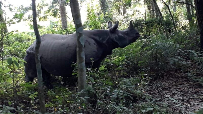 from-kathmaandu-3-day-2-night-chitwan-national-park-tour