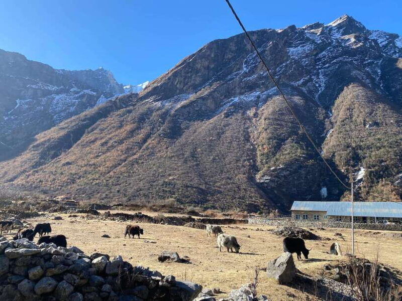from-kathmandu-10-day-langtang-valley-trek