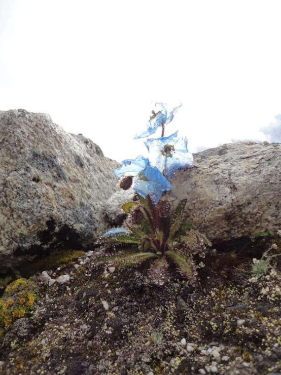 from-kathmandu-12-day-everest-base-camp-guided-trek-2