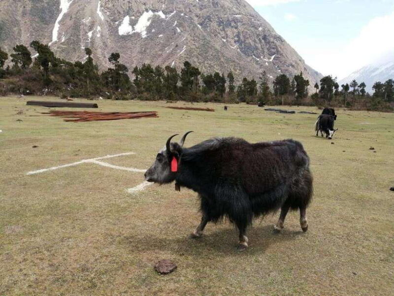 from-kathmandu-13-day-manaslu-circuit-trek