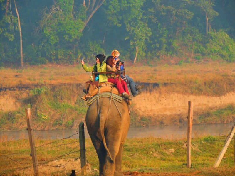 from-kathmandu-3-day-chitwan-national-park-elephants-tour